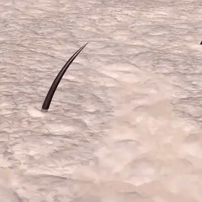 Smooth Skin Magic Mitt